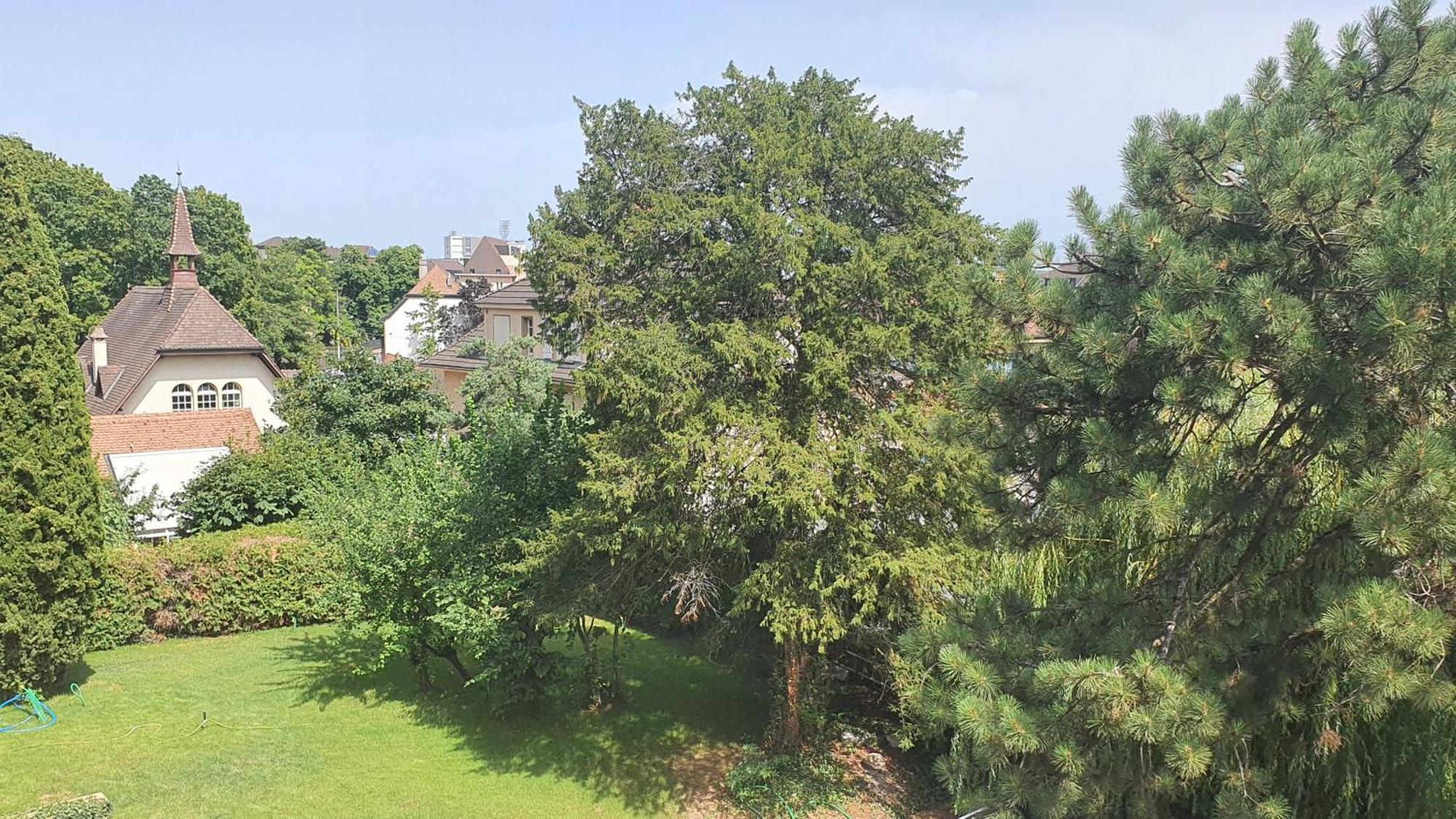 Le Faubourg 29 Maison d'hôtes Neuchâtel